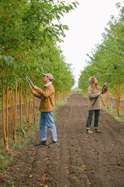 The Art of Pruning: Techniques to Encourage Growth and Flavor