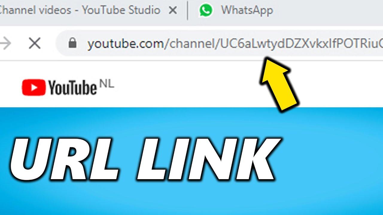 Exploring‌ the ​YouTube Universe of URLs